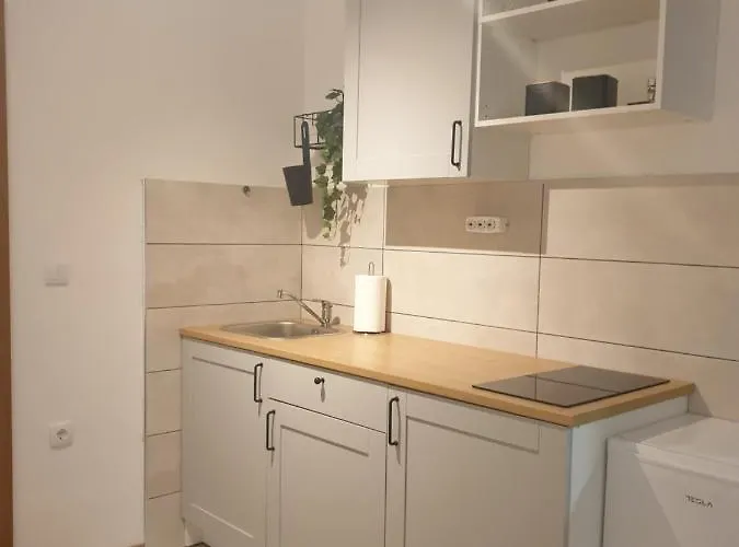 12-09 Apartment Bajina Basta