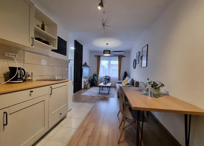 Apartment 12-09 Bajina Basta